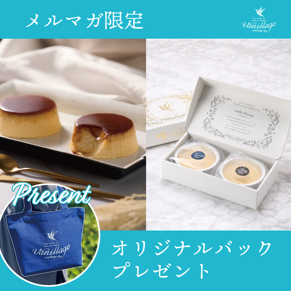 【メルマガ会員限定】カタラーナ・バニラージュセット ～数量限定～