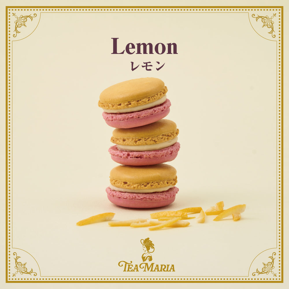 【1月13日発売スタート】　プレミアムマカロンアソート 10個入